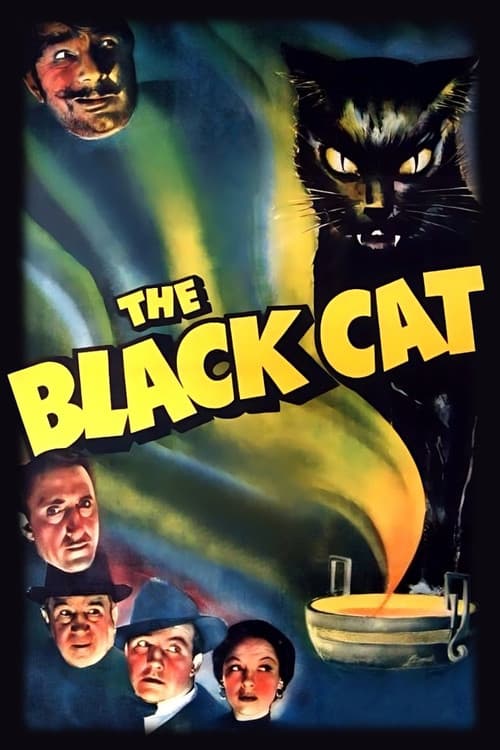 The Black Cat