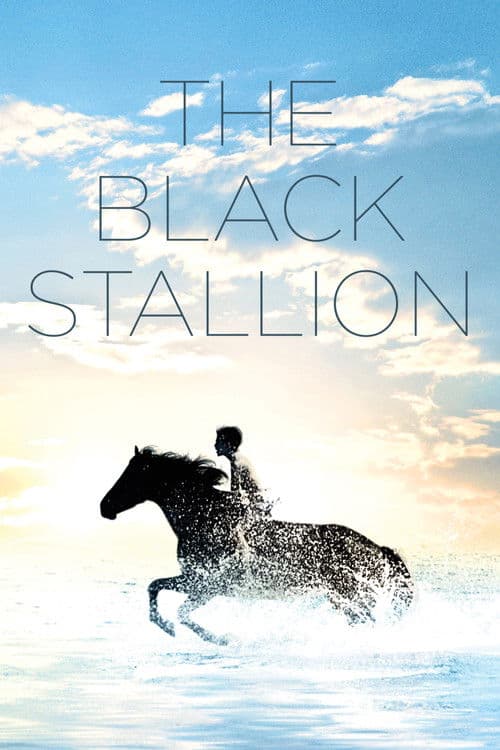 The Black Stallion