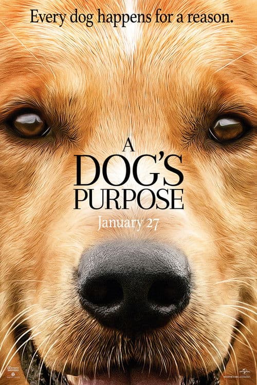 A Dog's Purpose