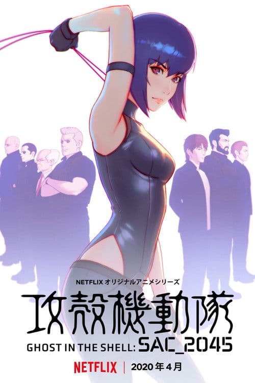 Ghost in the Shell: SAC_2045
